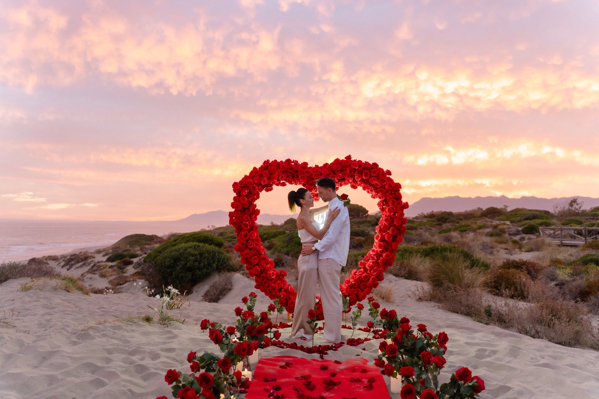 red proposal flowers photo Michal Carbol Red proposal flowers photo Michal Carbol in Spain